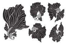 Set Bundle Hand Drawn Betta Fish Aquatic Black White Vintage Dark Art For Tattoo And Clothing Illustration