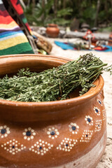 Medicinal plants inside brown hand made ceramic in tropical sandy garden during temazcal ceremony in Tulum