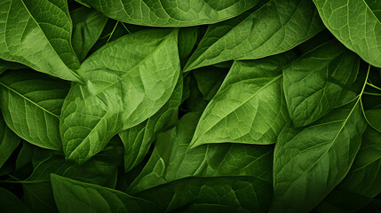 green foliage texture