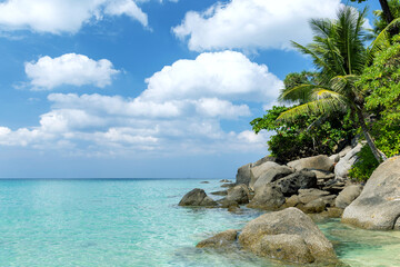 Wall Mural - Tropical beach with palm trees