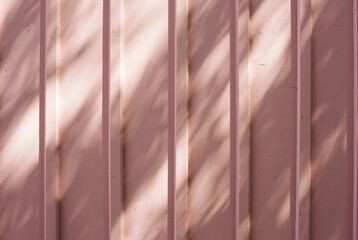 Wall Mural - pink painted wooden wall with the reflections and light of a tree