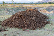 Organic fertilizer heap from livestock manure to be use for crops in the agriculture fields