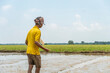 back side of an indian senior farmer sowing paddy seeds across the plowed dirt farm