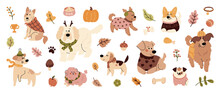 Set Of Cute Animal Vector. Autumn Season With Dogs, Friendly Pets, Clothing, Element In Fall Season In Doodle Pattern. Adorable Funny Animal And Characters Hand Drawn Collection On White Background.