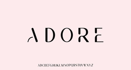 Unique and elegant alphabets display font vector