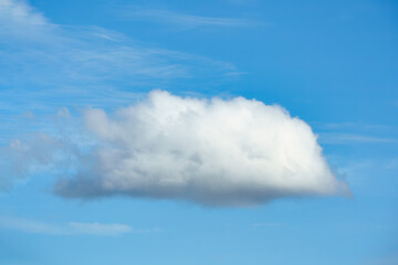 Wall Mural - Single white cloud in blue sky