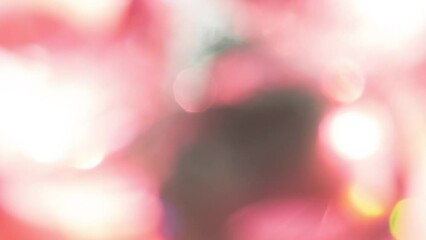 Wall Mural - Ruby Flashes of Precious Facets. Loop. The light passes through the facets of a slowly rotating diamond and creates repetitive sparkling highlights and rainbow colors