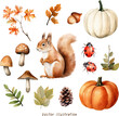 watercolor set of autumn pumpkin maple ornament elements vector illustration