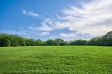 Fototapeta Desenie - 青空と芝生のパノラマ風景