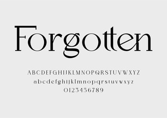 Elegant Ligatures Serif Font Alphabet Typeface