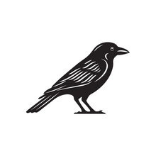 Crow Raven Icon Vector Black And White 