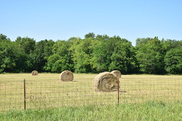 Canvas Print - Hay Bales in a Farm Field