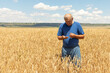 © Irina Mikhailichenko - Experienced mature agronomist technician checking the growth of the wheat for a quality control in a cereal field in summer.