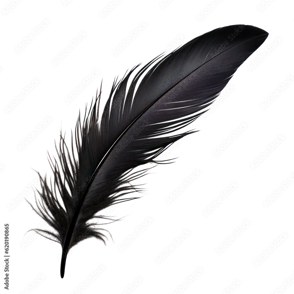 black feather isolated on transparent background cutout Stock ...