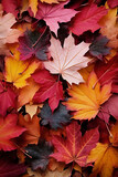 Fototapeta Las - Autumn leaves lying on the floor