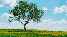 Environment And Landscape, Nature. Apple Tree In A Field Of Yellow Wildflowers And Sky With Clouds. Environmental Protection, Climate Change. Environmental Danger. 3d Rendering
