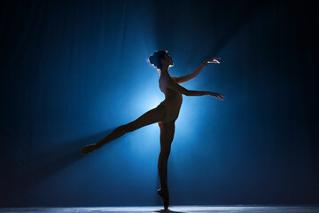 Wall Mural - Silhouette of tender, elegant, talented woman, ballet dancer performing on stage against dark blue background with spotlight