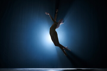 Wall Mural - Slim, beautiful, graceful ballerina making creative performance on stage against dark blue background with spotlight