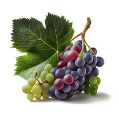 Wall Mural - bunch of grapes on transparent background (png)