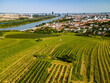 An aerial panorama of Vienna Nussdorf with vineyards rows with view on Danube