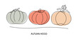 line drawing autumn, pumpkin harvest, zucchini, patisson, doodle, fresh vegetable abstract logo, set