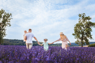 Wall Mural - a family walks on a lavender field. father and mother with two daughters