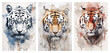Set of tiger art posters, abstract modern concept art