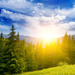 Wall Mural - Picturesque sunrise on background of beautiful mountains