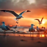 Fototapeta Sport - seagulls at sunset
