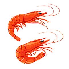 Wall Mural - Shrimp icon. Boiled Prawn in shell on a white background. Realistic vector illustration	