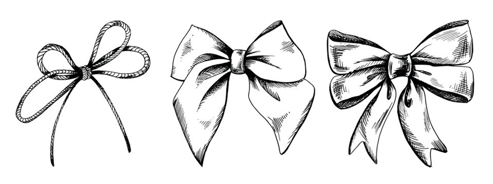 Satin bows and rope bow, hand-drawn illustration in black ink, graphics. eps vector. Set of isolated objects on a white background.