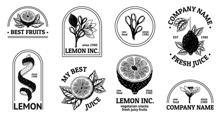 Lemon logo. Vintage leaf, icon, summer nature food art, retro fruit tree, orange plants and tropical doodles, healthy juice. Vector illustration design 