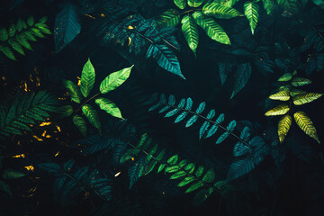 green leaves on dark background