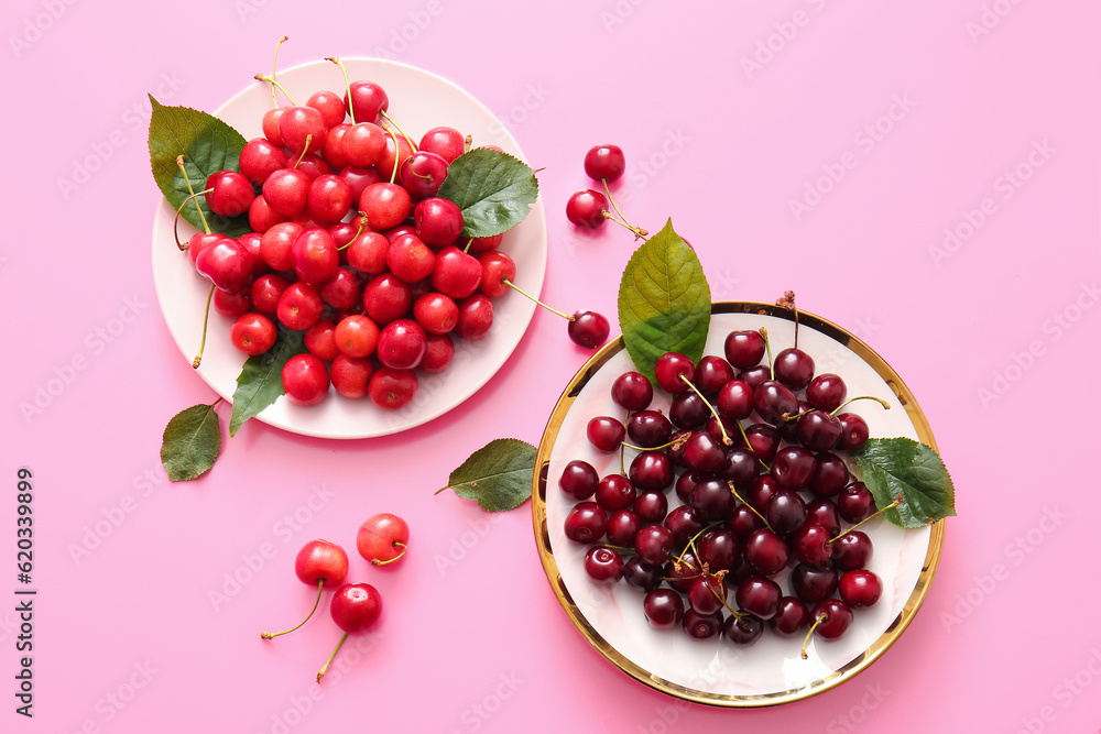Plates with sweet cherries and leaves on pink background