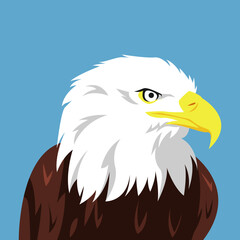 Wall Mural - avatar of eagle face side view. vector illustration.