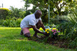 © Wavebreak Media - Happy african american senior man planting flowers in sunny garden at home