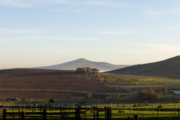 Sticker - Green countryside and agricultural fields on sunny day