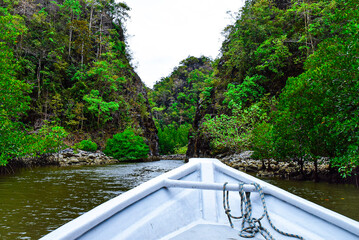 Wall Mural - Serene waterway boat ride in Langkawi