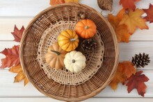 Rustic Autumnal Decoration Featuring Pumpkins And Pine Cones In A Wicker Basket