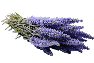 Wall Mural - Lavender blooms are separated on a transparent background.