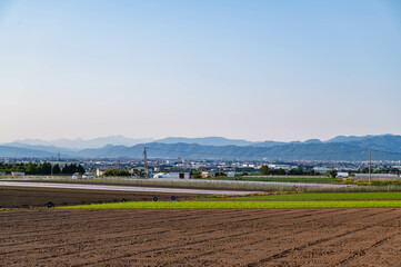 Canvas Print - 初夏の夕方　山形村からの田園風景