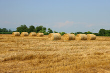 Golden Hay Bales In Rows In The Mowed Wheat Field Against Blue Sky In The Italian Countryside. Cut Wheat Field On Summer