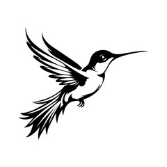 Wall Mural - Hummingbird vector, logo, isolated on white background, vector illustration.