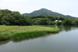 日本の水辺の風景、田舎。