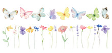 Watercolor Set Of Meadow Flowers And Colorful Butterflies.