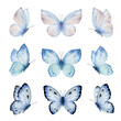 Watercolor set of bright blue vector hand painted butterflies.