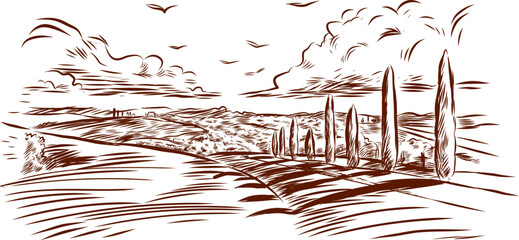 Rural landscape panoramic . Hand drawn Illustration in engraving style.