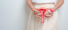 Woman Holding Uterus And Ovaries Model. Ovarian And Cervical Cancer, Endometriosis, Hysterectomy, Uterine Fibroids, Reproductive, Menstruation, Stomach, Pregnancy And Sexual Transmitted Disease