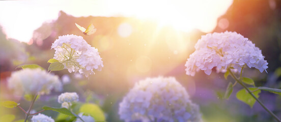 Wall Mural - summer flower park, pink with morning sunlight, idyllic spring background with blooming bushes and f