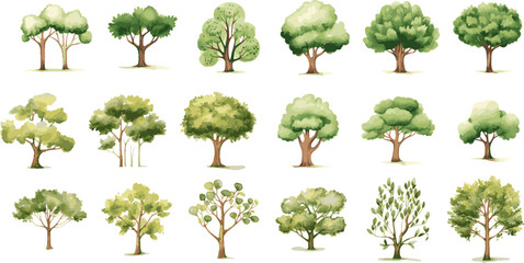 tree nature watercolor